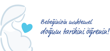 Bebeğinizin muhtemel doğum tarihini öğrenin.